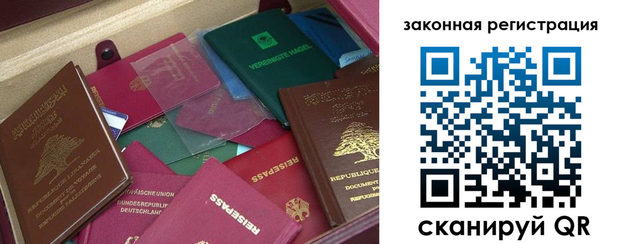купить прописку в Новосибирской области